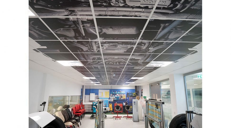 ceiling-graphics