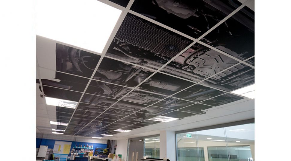 ceiling-graphics