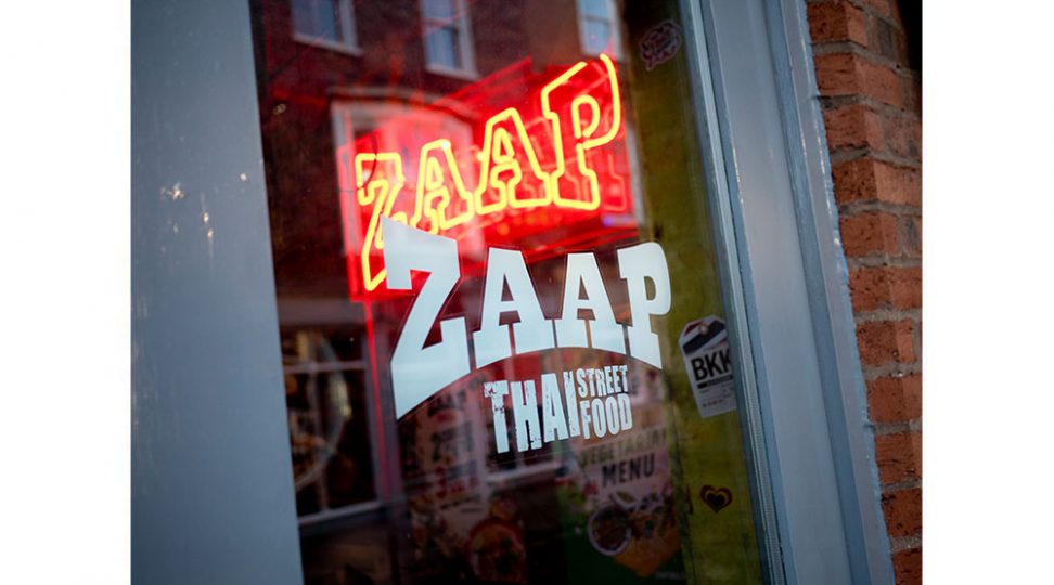 Zaap-window-graphic